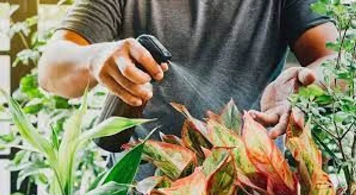 Una mezcla de vinagre y canela para ahuyentar los insectos