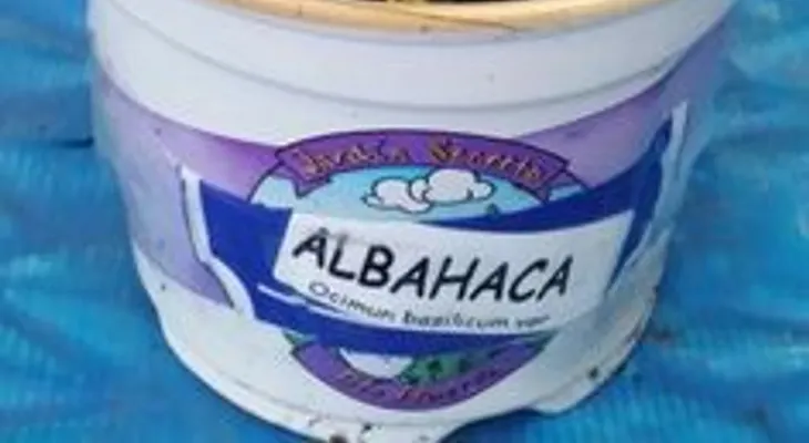 Albahaca: Ayuda a eliminar los parásitos; propiedades sedantes y sirve para tratar la depresión, ansiedad e insomnio