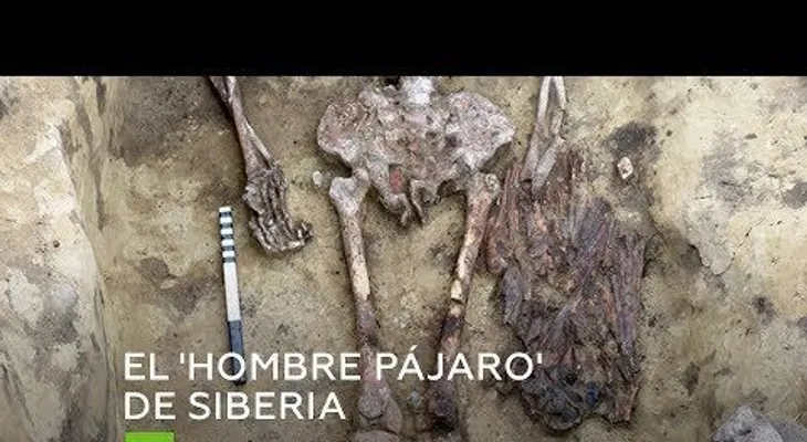 Hallan en Siberia una tumba que tiene los restos de un "hombre pájaro"