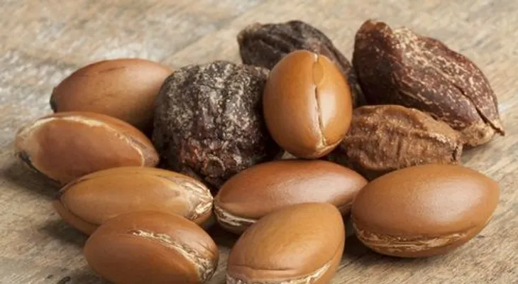 Los beneficios del aceite de argán