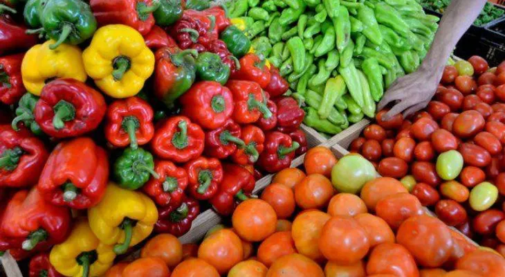 EE.UU. elimina restricciones a exportaciones de frutas y vegetales RD