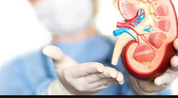 Creatinina en la sangre alta. ¿Cuáles son los valores recomendados?