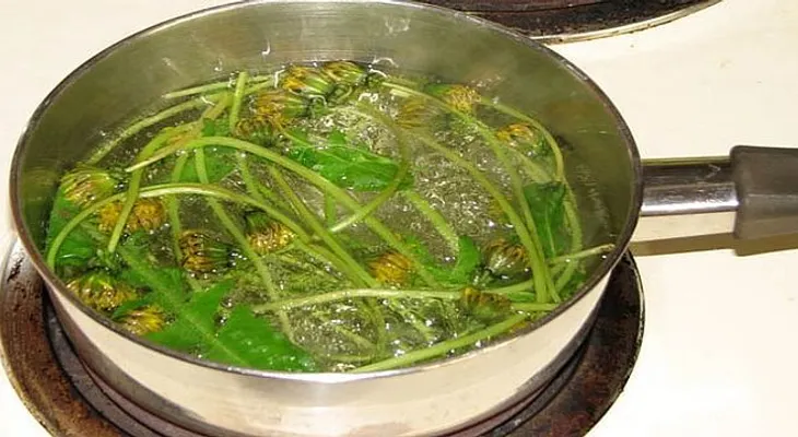 Esta planta parece maleza, pero hace MILAGROS? conoce sus beneficios!?