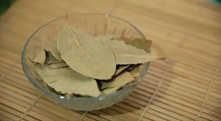 Si quemas esta hoja en tu casa no sabrás el favor que te harás de inmediato 