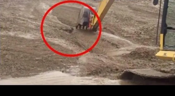 Dios mio no es posible cuando comienza a excavar lo que encuentra me puso a llorar; todo ocurrió muy rápido 