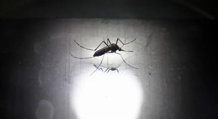 Mujer embarazada es primer caso de zika en Bolivia