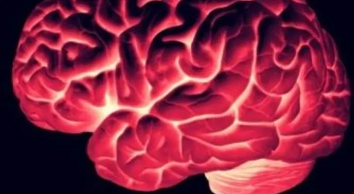 Una nueva técnica de neuroimagen muestra los efectos del LSD en el cerebro 