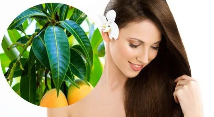 Los mangos alimentan y sirven como mascarillas para el cabello y la piel 