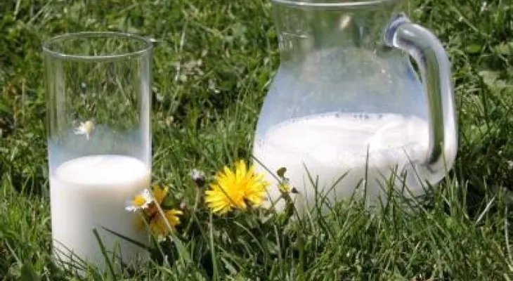 Alimentos que pueden aumentar el riesgo de párkinson