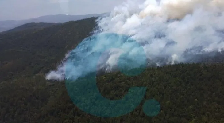 Fuego afecta zona boscosa de Loma de Miranda