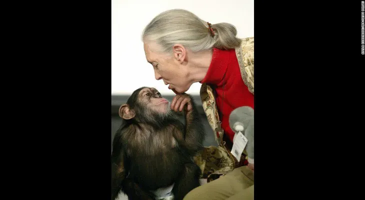 Jane Goodall, experta primatóloga, dice que el gorila de Cincinnati estaba abrazando al niño