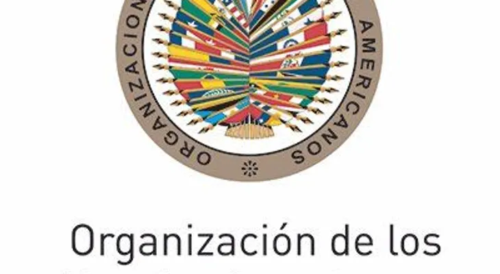 Partidos de la oposición respaldan advertencias de la OEA