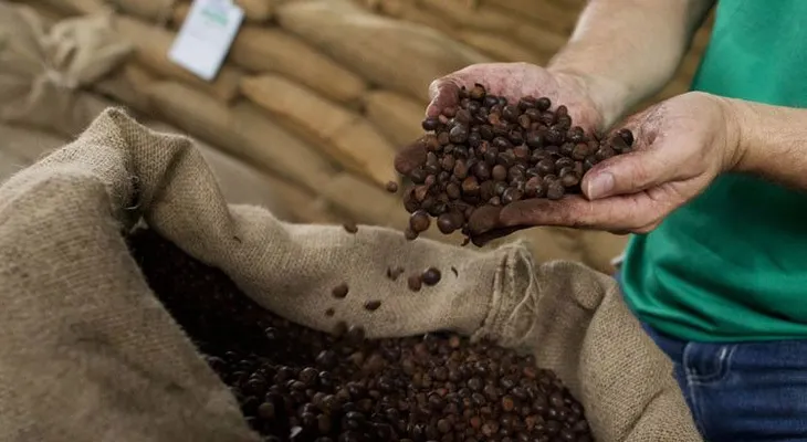 Dos grandes empresas de café admiten el riesgo del trabajo esclavo en su cadena de suministro