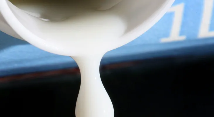 ¿Cuántos nutrientes aportan los lácteos a nuestro cuerpo?