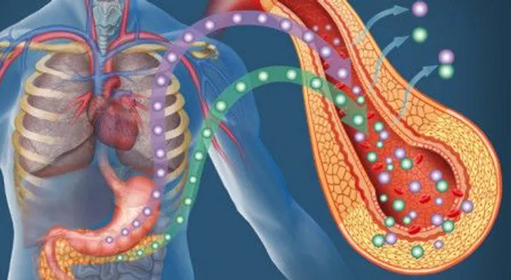 ¿La prediabetes puede aumentar el riesgo de ciertos cánceres?