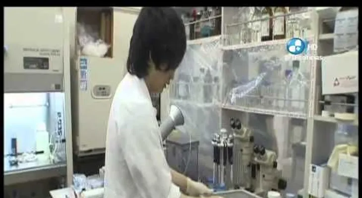 Japón inicia el primer ensayo de retina artificial con células madre.