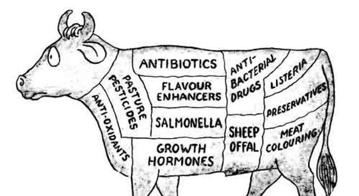 Motivos para no comer carne