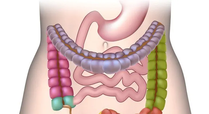 5 señales de que tienes un intestino perforado