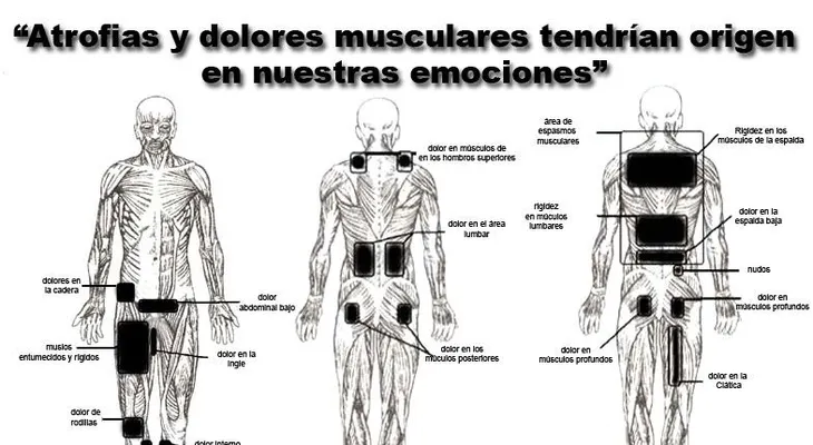 Dime que te duele, y te diré que significa 