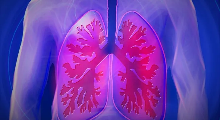 Descubren un nuevo y raro tipo de célula pulmonar