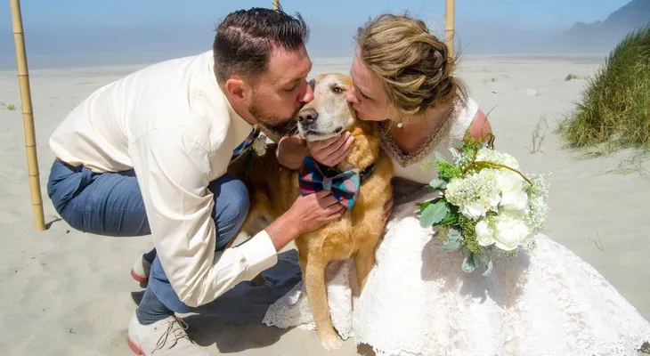 Un perro con cáncer terminal ve el mar por primera vez