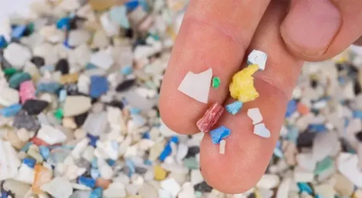 Los microplásticos afectan al funcionamiento de las membranas celulares