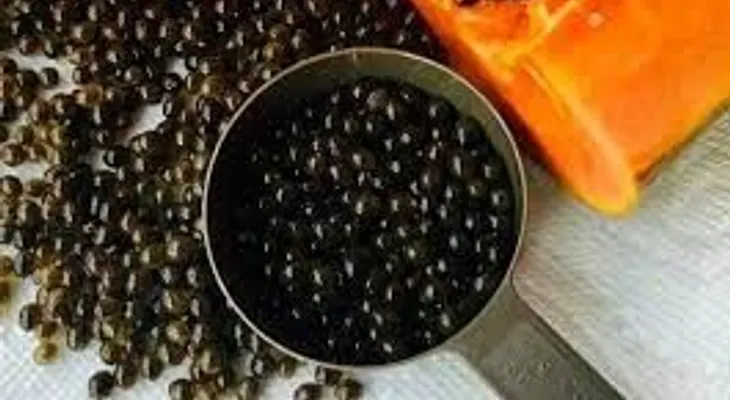 !Las semillas de la lechosa, quien habría sabido de sus tantos beneficios 
