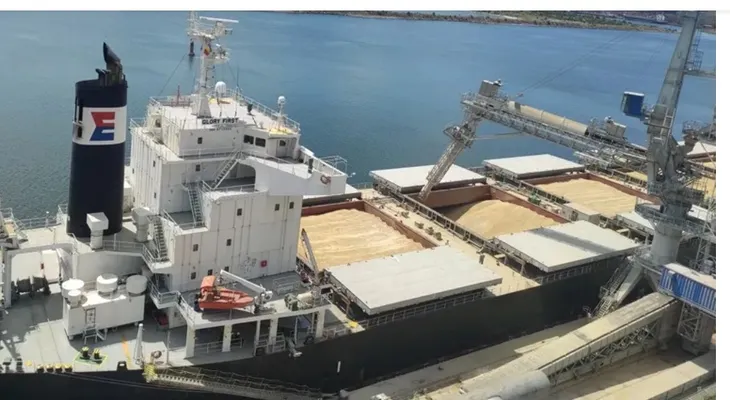 Ataque ruso a mercante turco deja al menos diez marinos muertos
