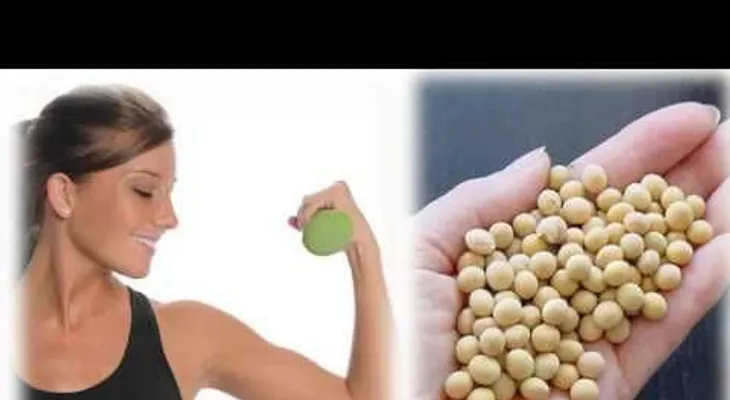 La proteína de soja tiene un efecto antioxidante y protector sobre células del intestino; su consumo beneficia la salud