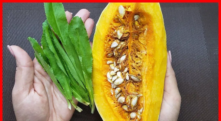 Auyama o calabaza con cilantro ancho; una receta encantadora ¡