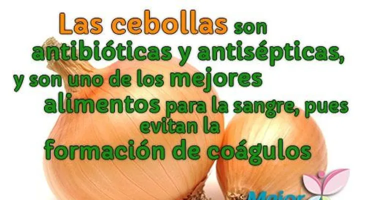 La cebolla y sus propiedades