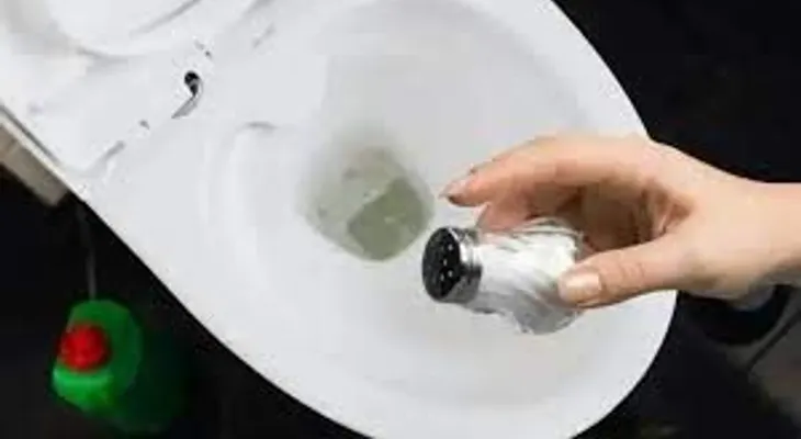 Revolucionario truco de tirar sal en el inodoro