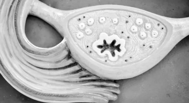 Hipogonadismo; tratamiento y prevención