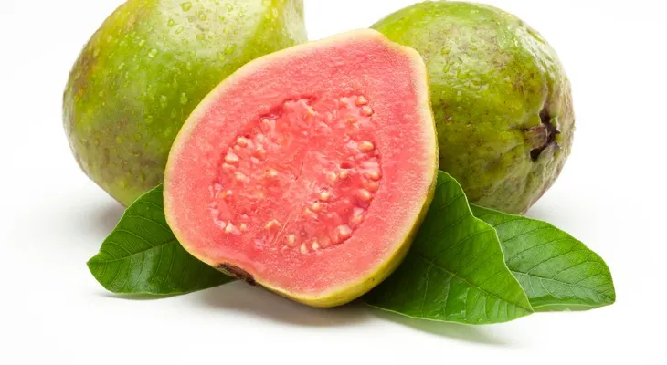 "La Guayaba: Un Tesoro de Salud Oculto en sus Hojas y Frutas"