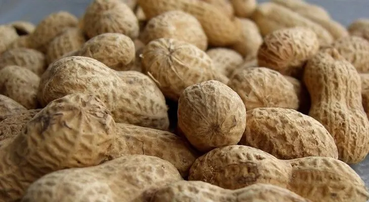 Para evitar alergia de los cacahuetes tomarlos desde bebé