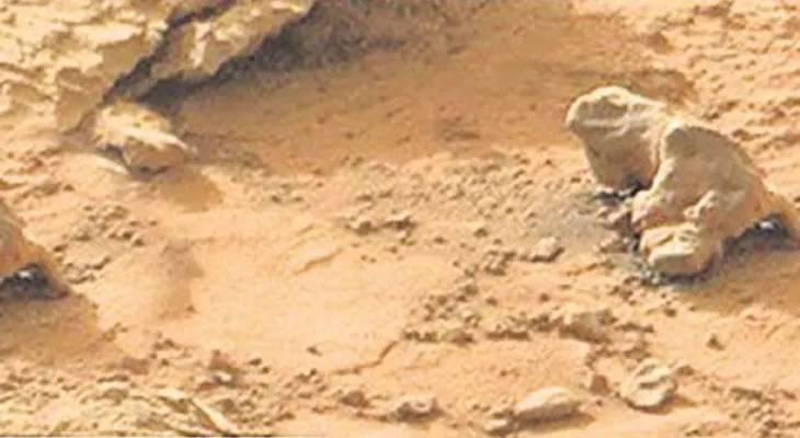 Descubren una 'iguana' en Marte 