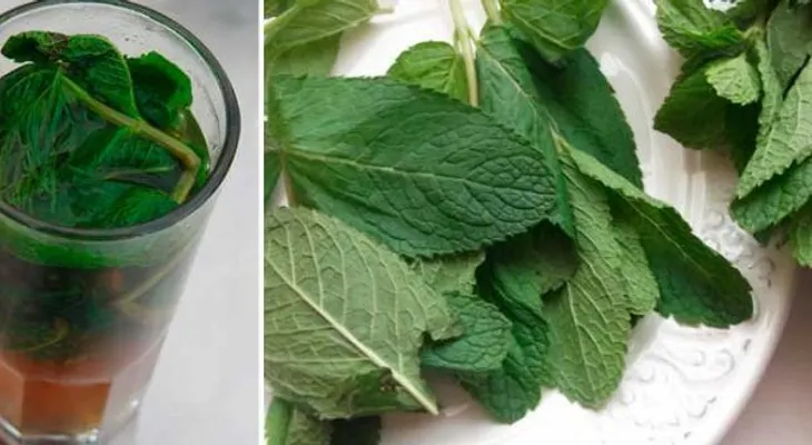 Toma un vaso de esto y dejarás tu hígado como nuevo