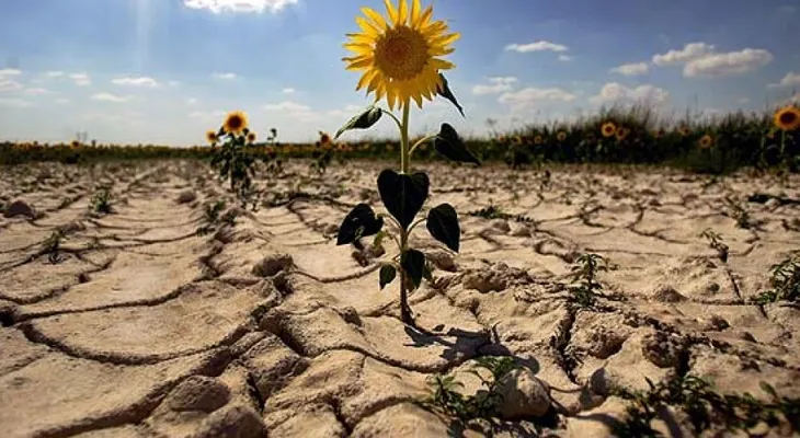  El cambio climático reduce la productividad laboral un 5,3 % en áreas rurales 
