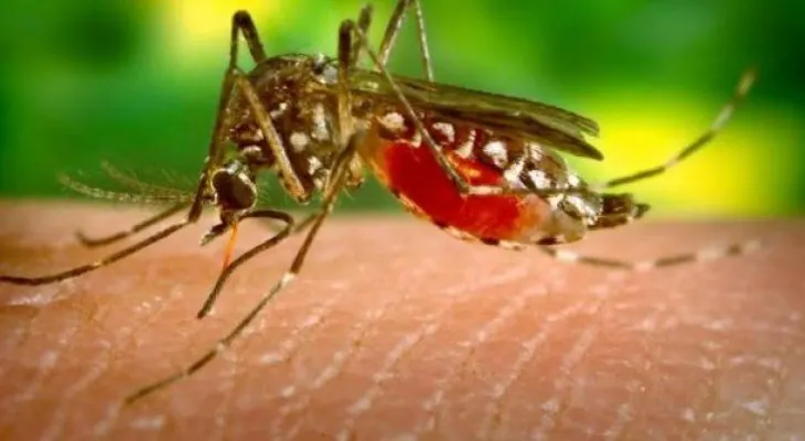 Calculan en 150 personas fallecieron por la malaria en 2016