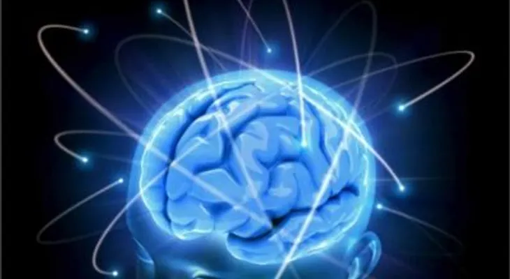 Identifican el mecanismo neural responsable del dolor crónico