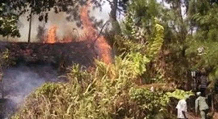 Al menos 100 hombres tratan de sofocar fuego en loma El Curro