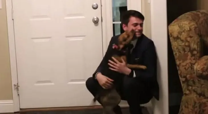 Emotiva reacción de un perro al ver a su amo (Video)