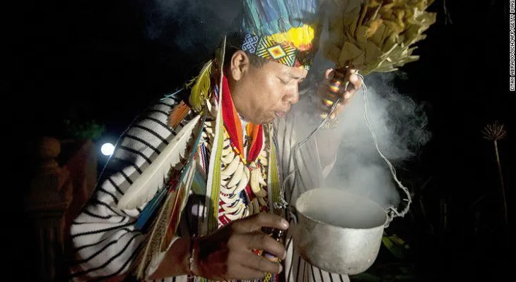 ¿Peligroso o benéfico? Consumo de ayahuasca se extiende en Europa