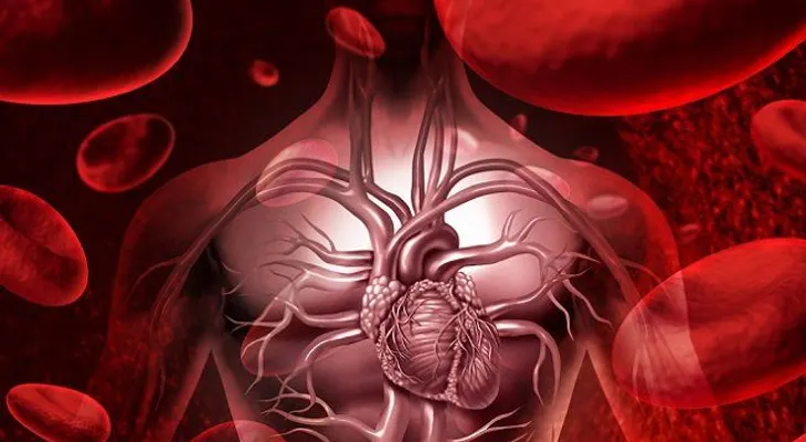 7 señales que indican una mala circulación sanguínea y cómo revertirla