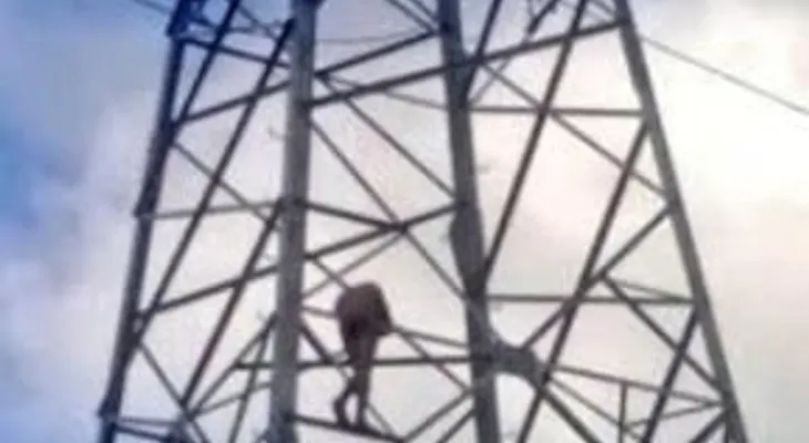 Rescatan hombre estaba desnudo torre eléctrica en Villa Mella