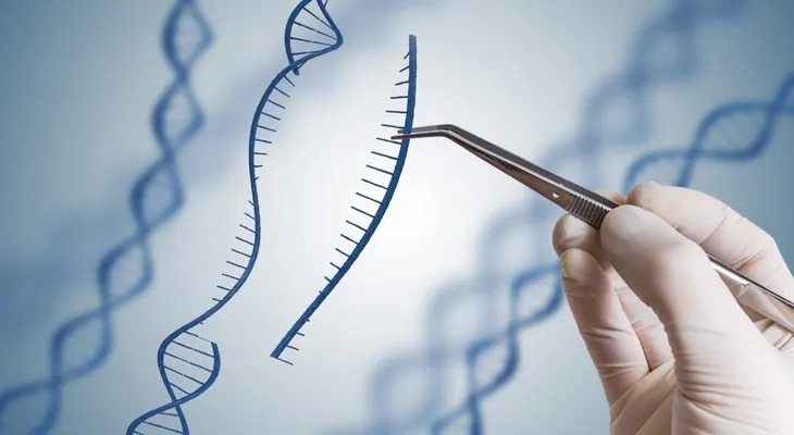 La edición genética logra en ratones prevenir una rara enfermedad hepática