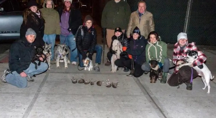 Cazadores de ratas en NY o cómo hacer frente a esos incómodos vecinos