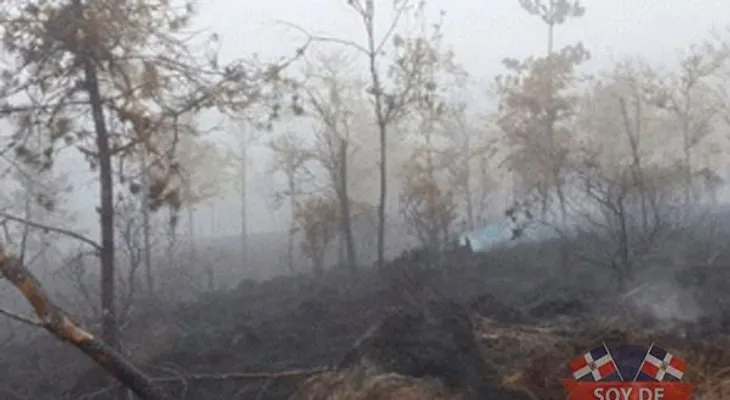 Medio Ambiente dice fuego en Constanza está en "etapa de control"
