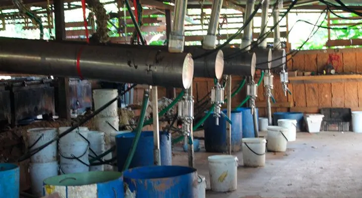 Hallan laboratorio subterráneo para fabricar drogas en San Cristóbal