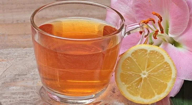 Efectos del zumo de limón y la cura de savia; puede perder más de 5 kilos